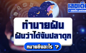 ฝันว่าได้จับปลาดุก