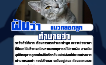 ฝันว่าแมวคลอดลูก