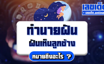 ฝันเห็นลูกช้าง