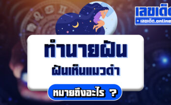 ฝันเห็นแมวดำ