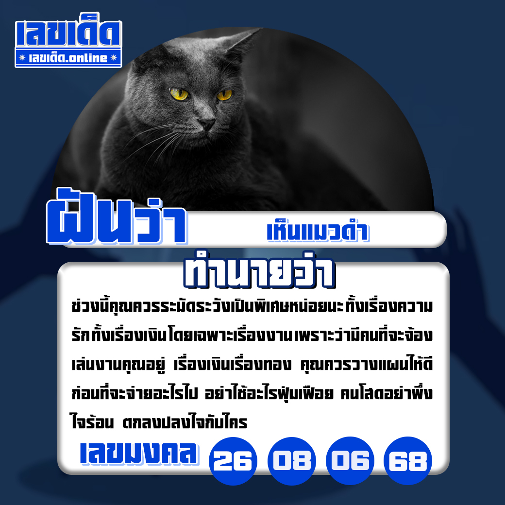 ฝันเห็นแมวดำ